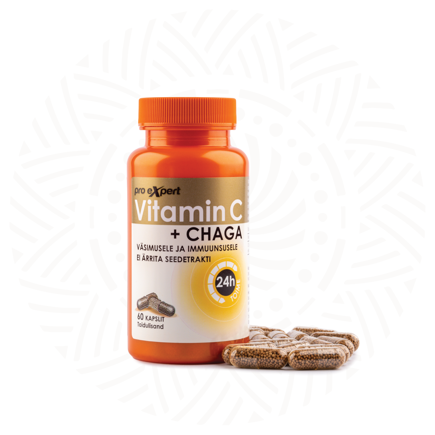 Vitamin C PRO Expert + CHAGA TR N60 sustained-release capsules