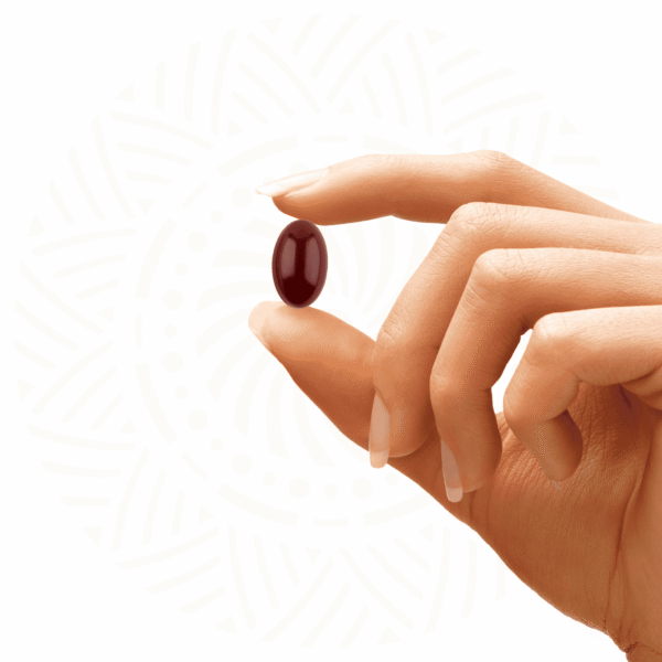 Ginkgo Pro Expert OMEGA N30 — capsule
