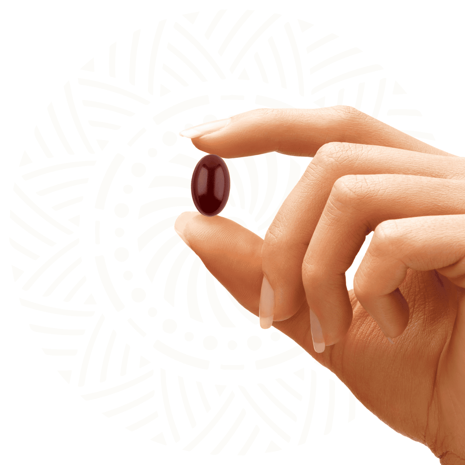 Ginkgo Pro Expert OMEGA N30 — capsule