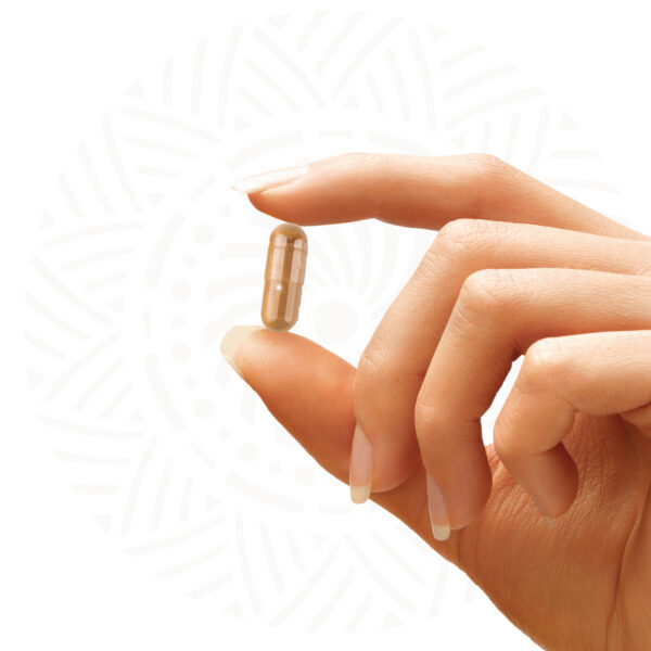 Melafera Meelerahu N40 — capsule