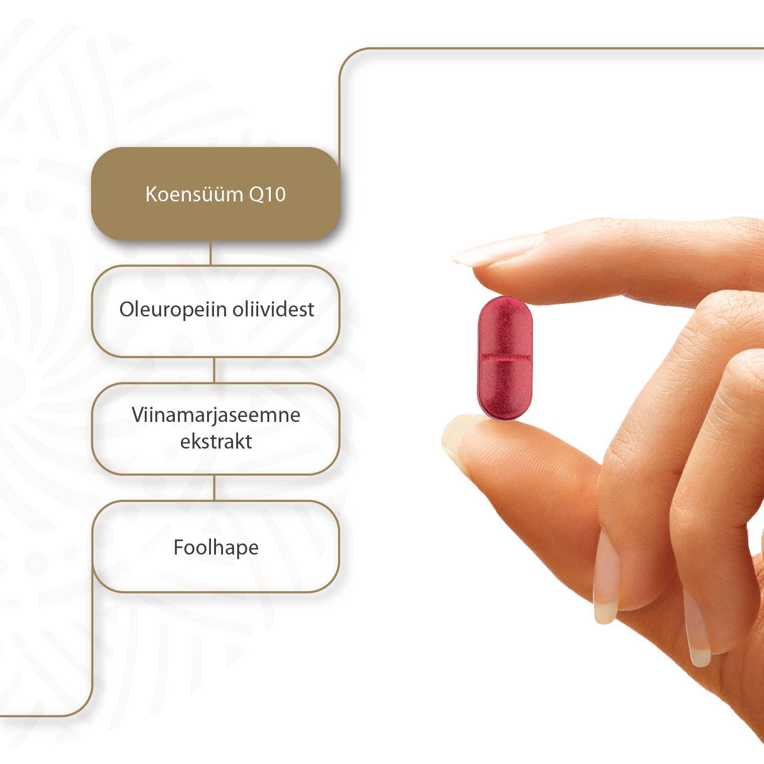Cardioza Q10 N30 — tabletid