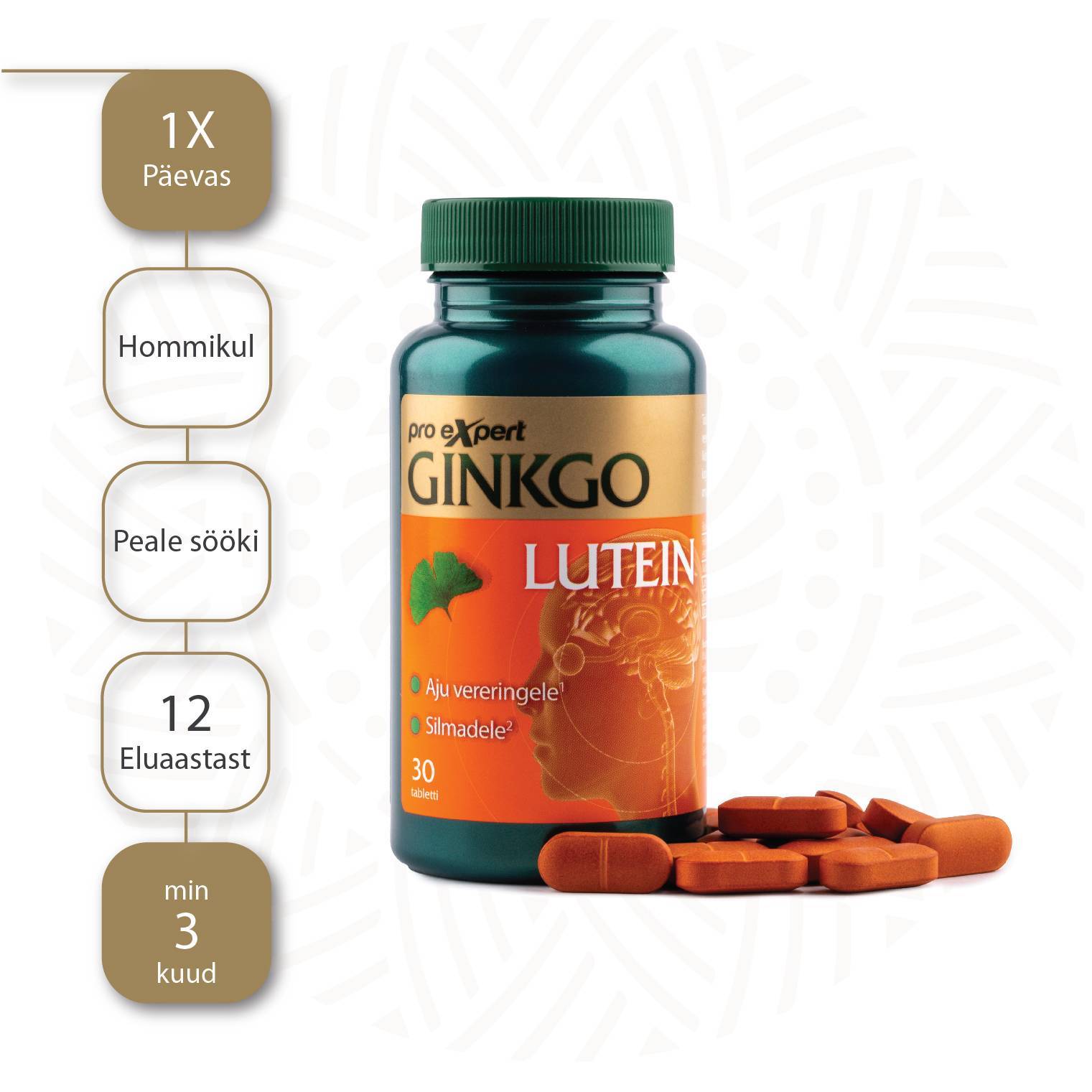 Ginkgo Pro Expert LUTEIN N30 — tarvitamisjuhend