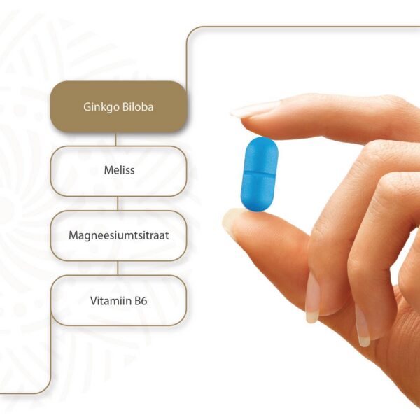 Ginkgo Pro Expert NEURO N30 — tabletid