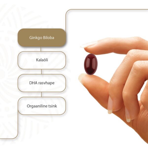 Ginkgo Pro Expert OMEGA N30 — kapslid