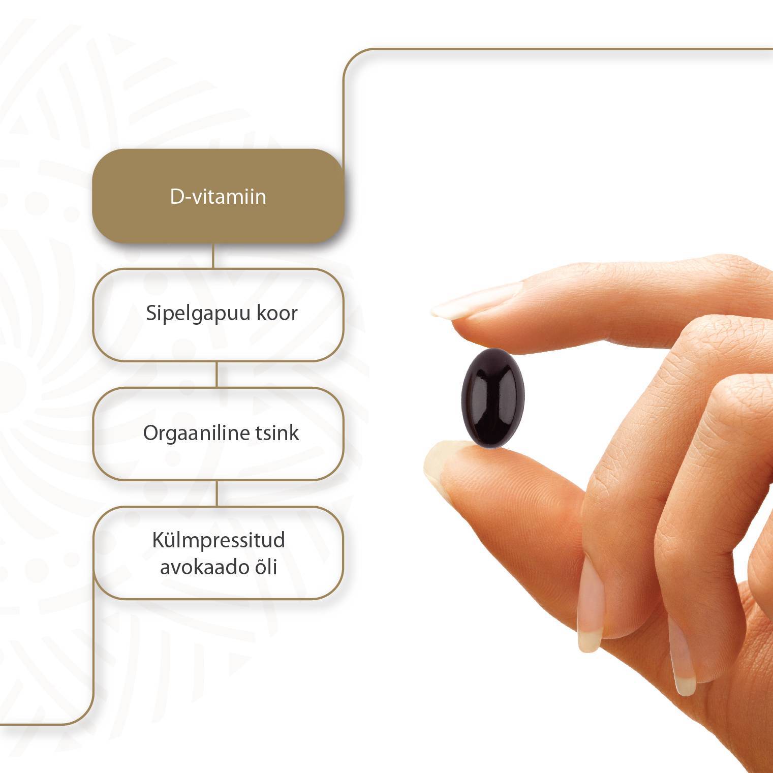LUXADOR Vitamin D3 4000IU IMMUSTAR N90 — kapslid