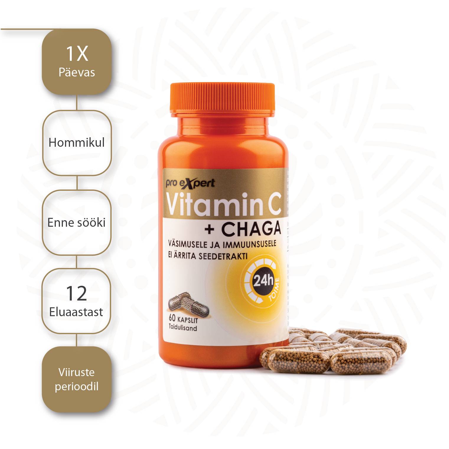Vitamiin C PRO Expert + CHAGA TR N60 — tarvitamisjuhend