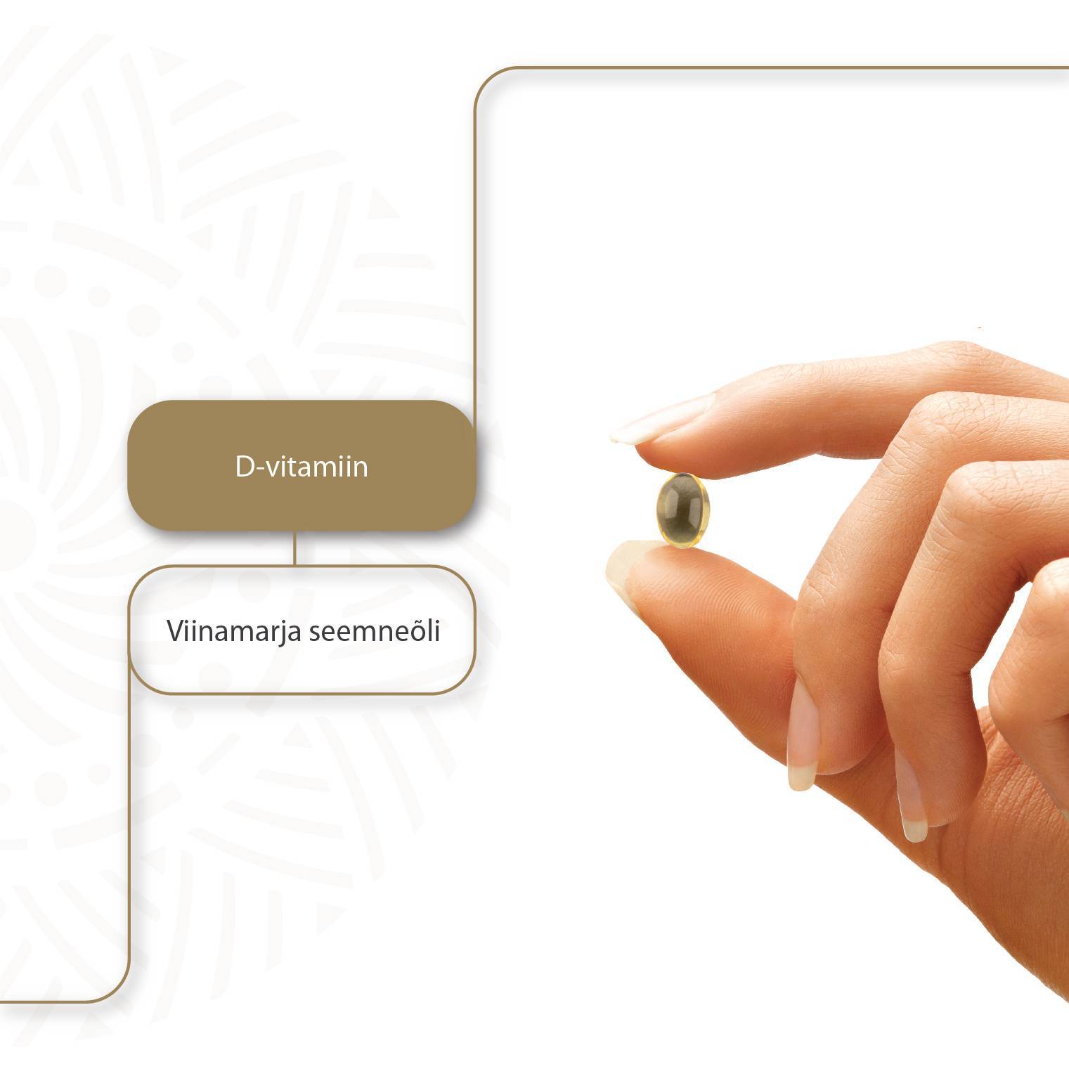 Vitamin D3 Pro Expert — kapslid