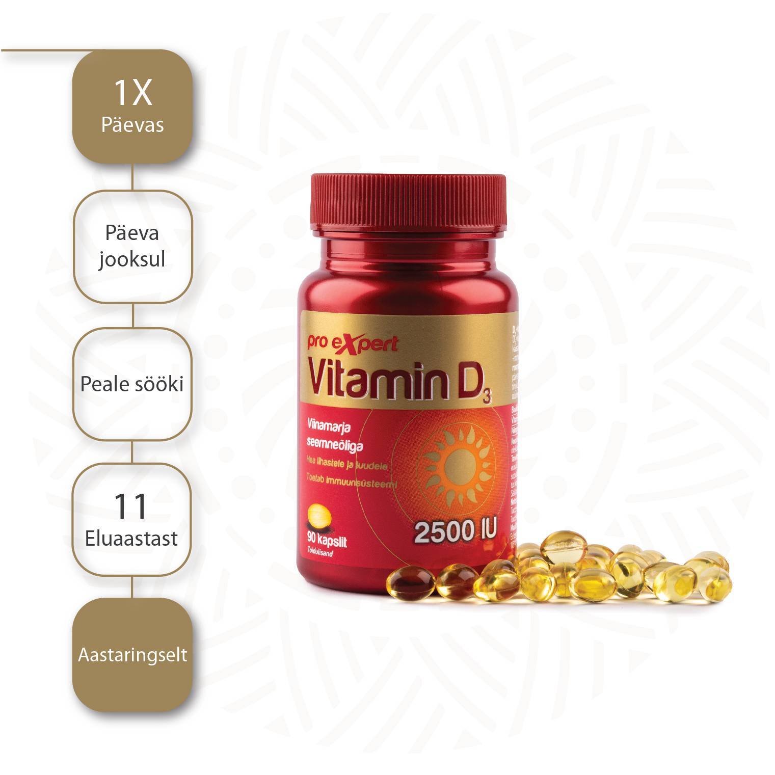 Vitamin D3 Pro Expert 2500IU N90 — tarvitamisjuhend