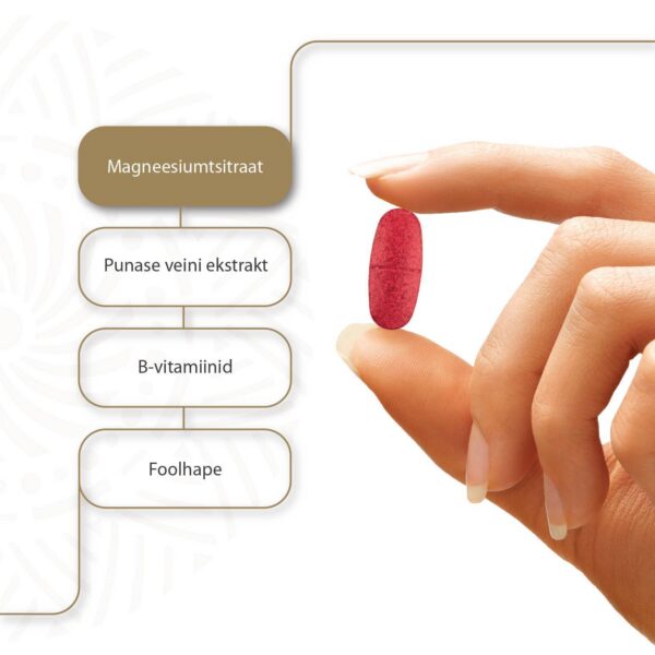 Magnesium Pro Expert RED N30 — tabletid