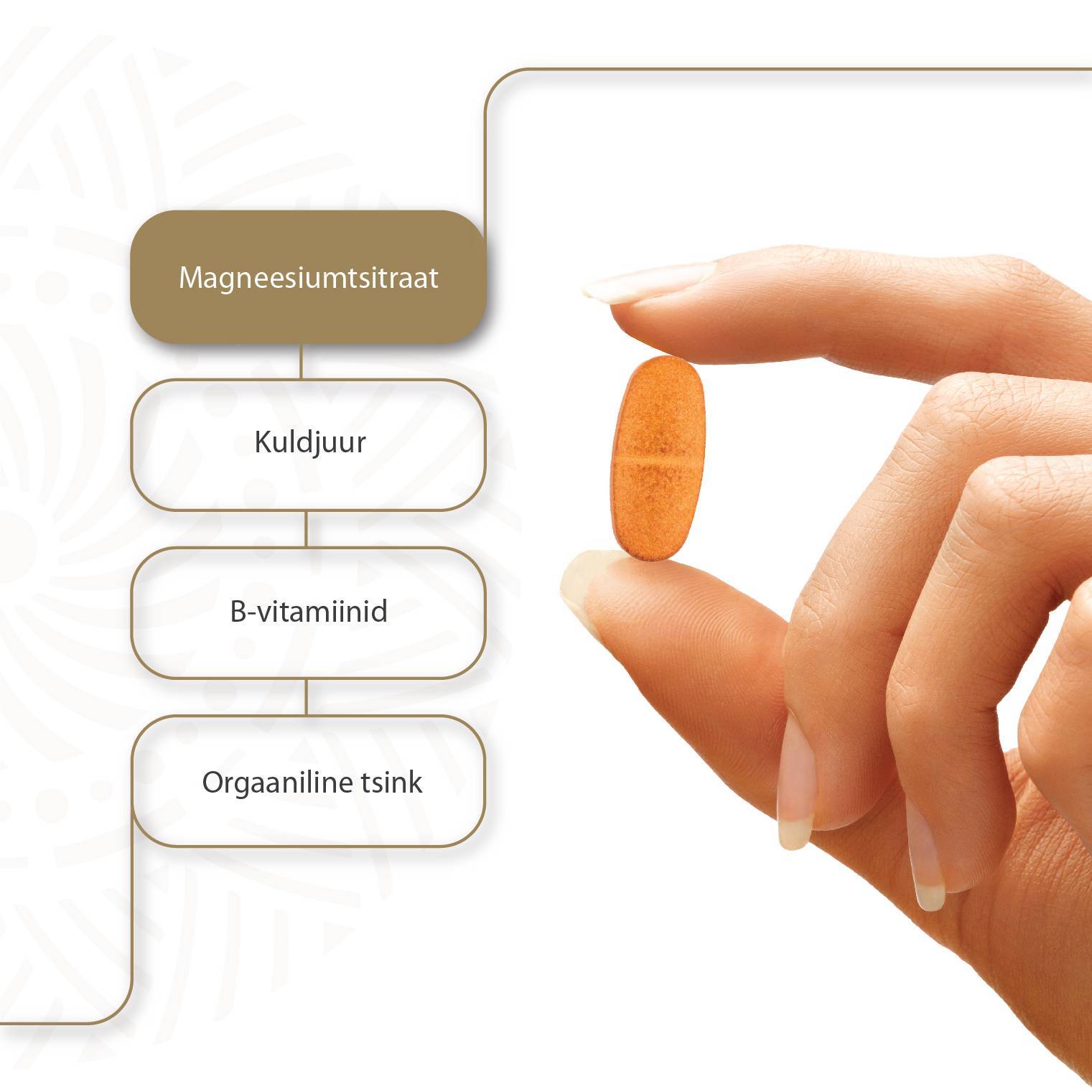 Magnesium Pro Expert ZEN N30 — tabletid