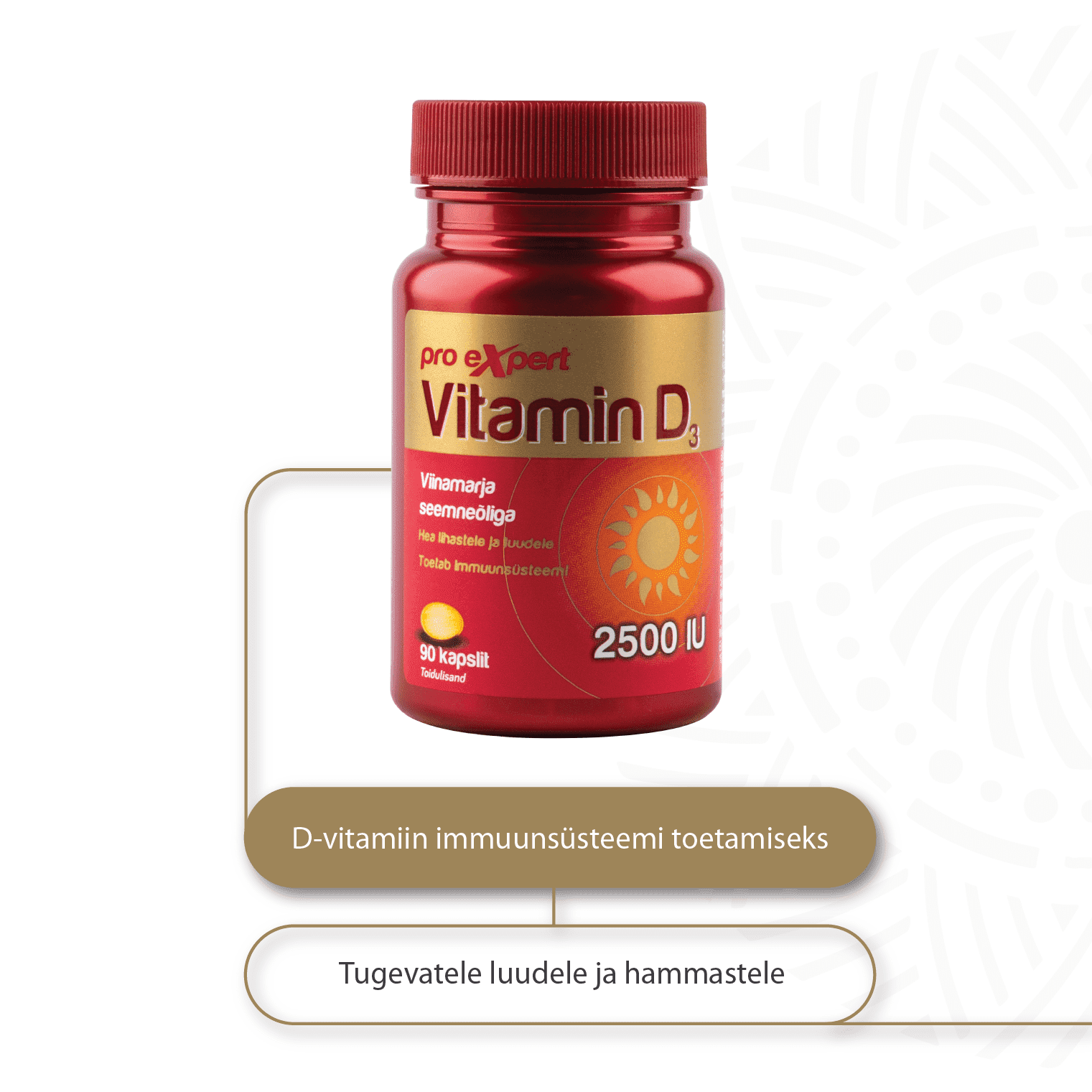 Vitamin D3 Pro Expert 2500IU N90 — purk