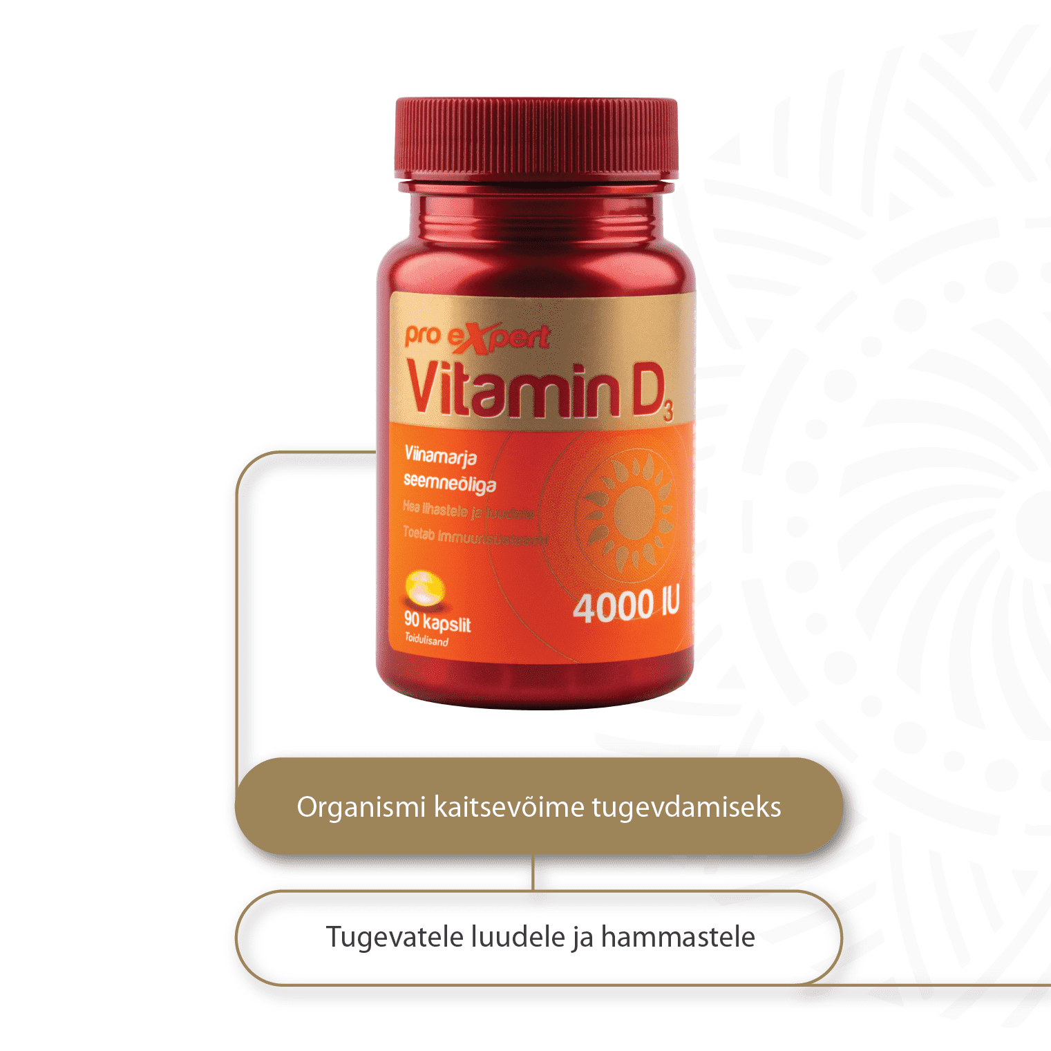 Vitamin D3 Pro Expert 4000IU N90 — purk