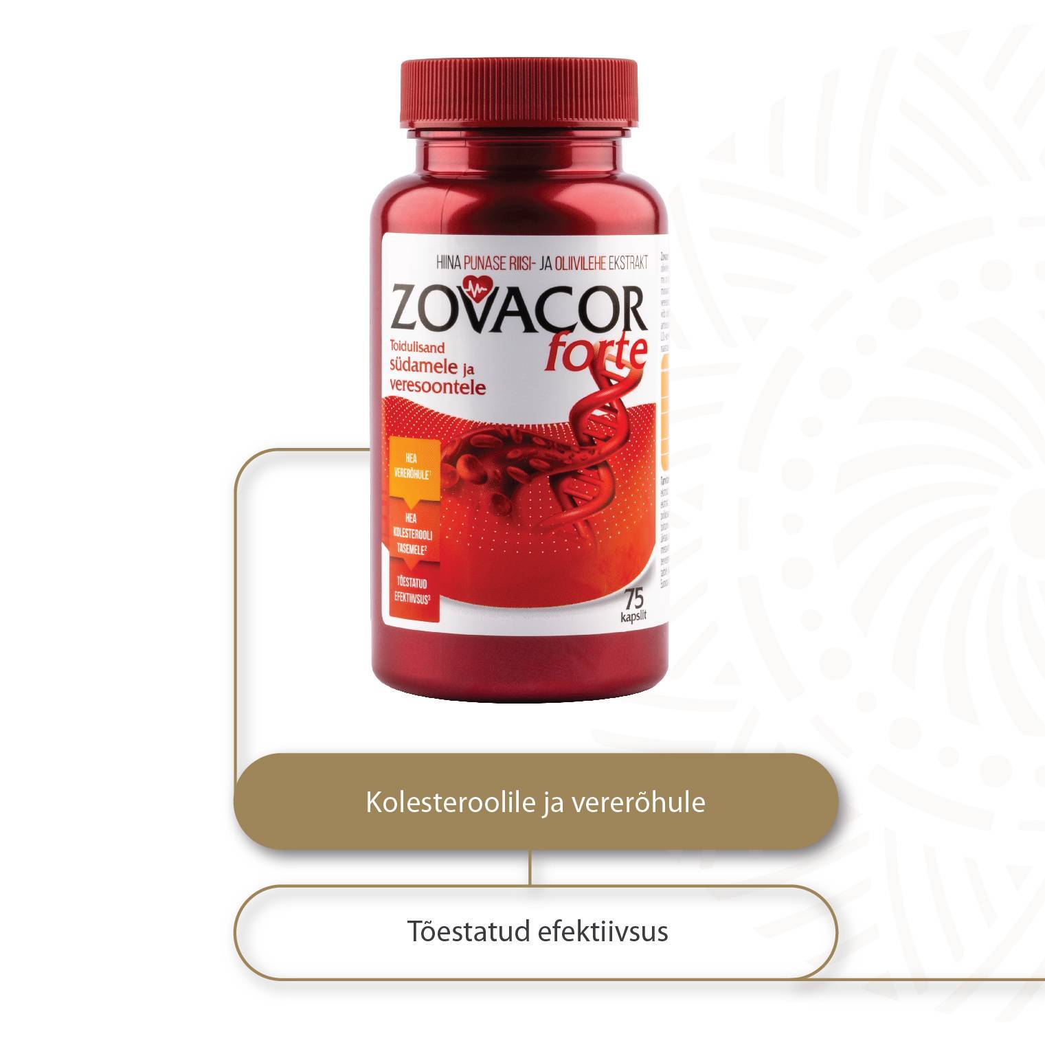 Zovacor Forte N75 — purk